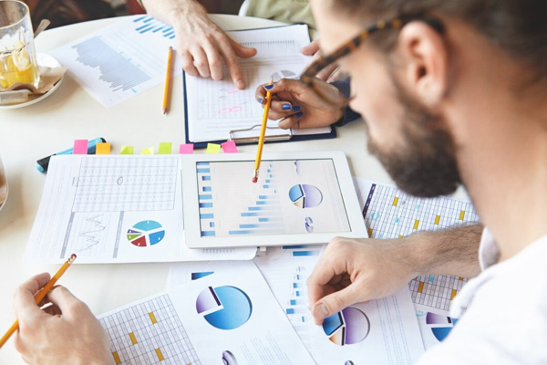 Feasibility Analysis